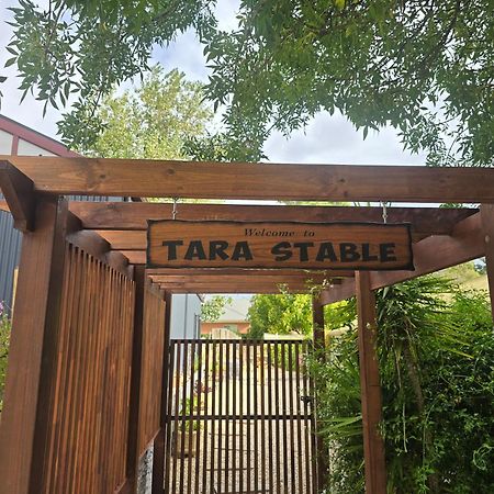 Tara Stables Villa Littlehampton Exterior photo